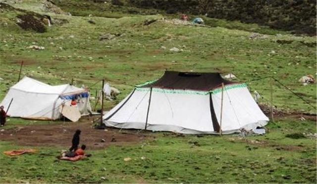 西藏「白帳篷」千萬不可隨意進去　15歲藏族少女坐等...入內還必須「帶刀子」