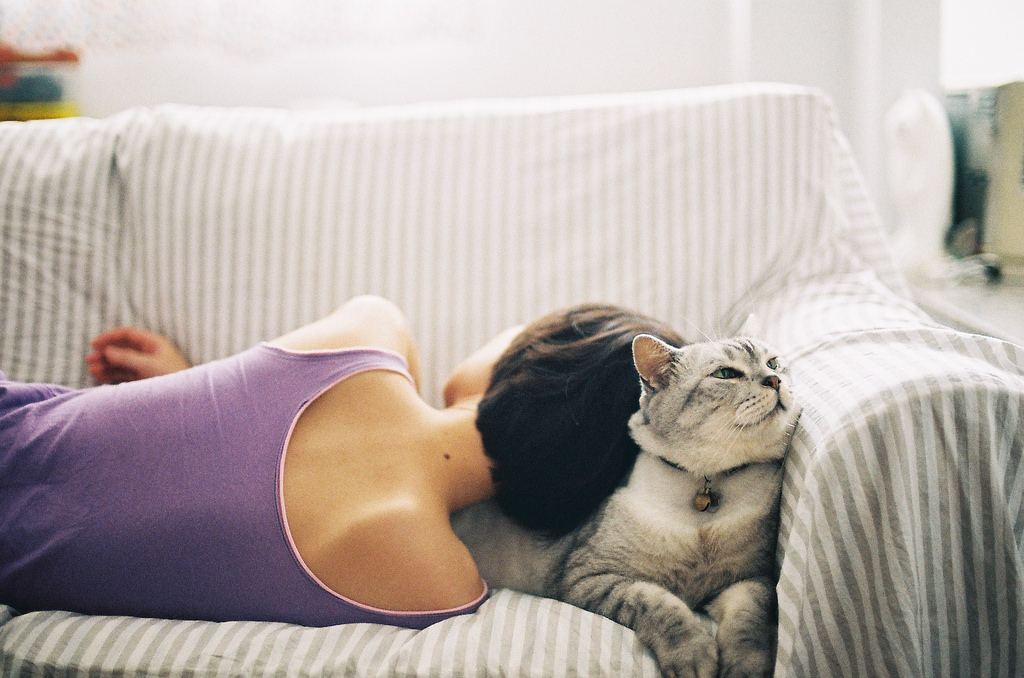 老婆靠著「貓抱枕」睡著了　老公一回家看到貓貓表情秒笑噴