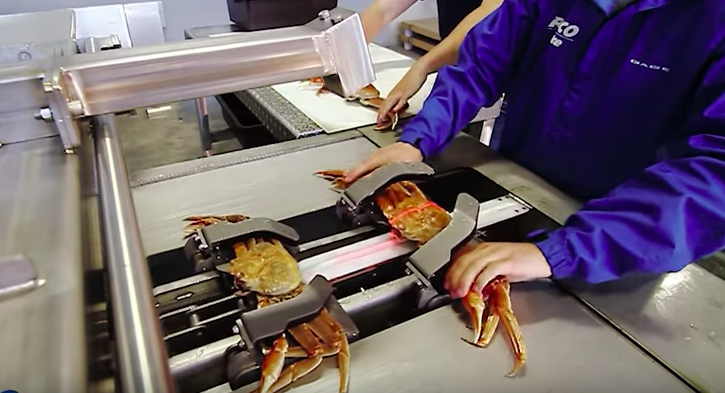 蟹肉怎麼來？自動「剝蟹機器」一瞬間掏空　整隻螃蟹被清到乾淨溜溜