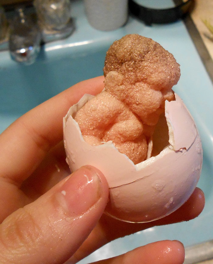 無意發現童年「寶寶泡水蛋」　他泡水23小時「結果大後悔」：怎麼會讓它出生！