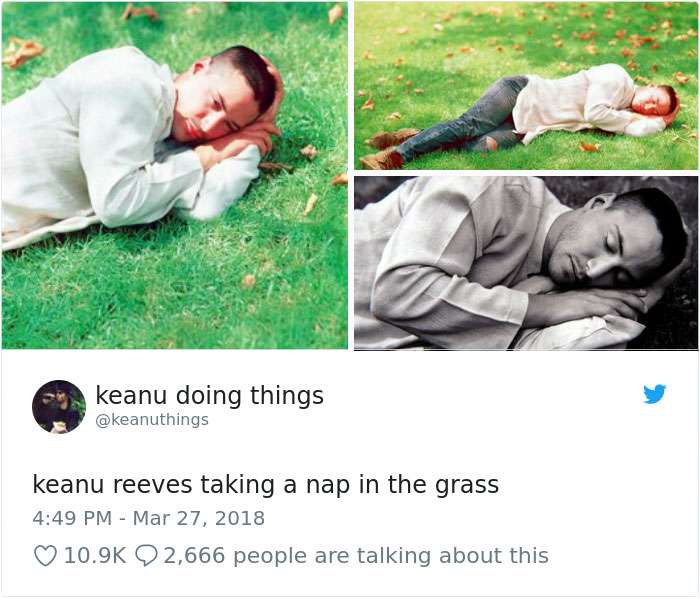 網友神惡搞「基努李維在幹嘛」照片　各種認真的描述反而害大家笑哭