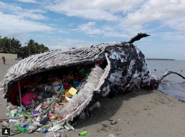 誰來守護海洋？　巨大鯨魚「擱淺」在海灘　不忍直視嘴裡滿滿的垃圾