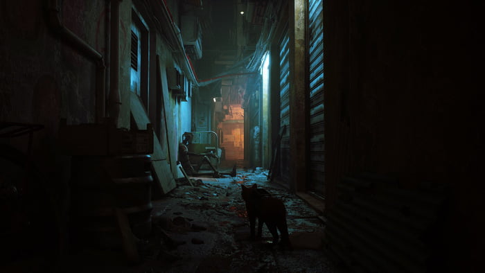 浪貓模擬器來了！　全新喵皇冒險遊戲《Stray》將在PS5推出：化身貓貓探索機械世界