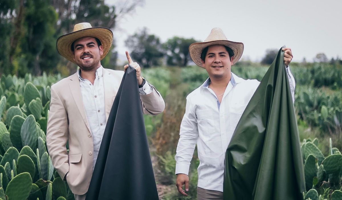 仙人掌做的包包！　墨西哥企業家研發「植物環保皮革」　高質感「仙人掌色皮革」兼顧時尚
