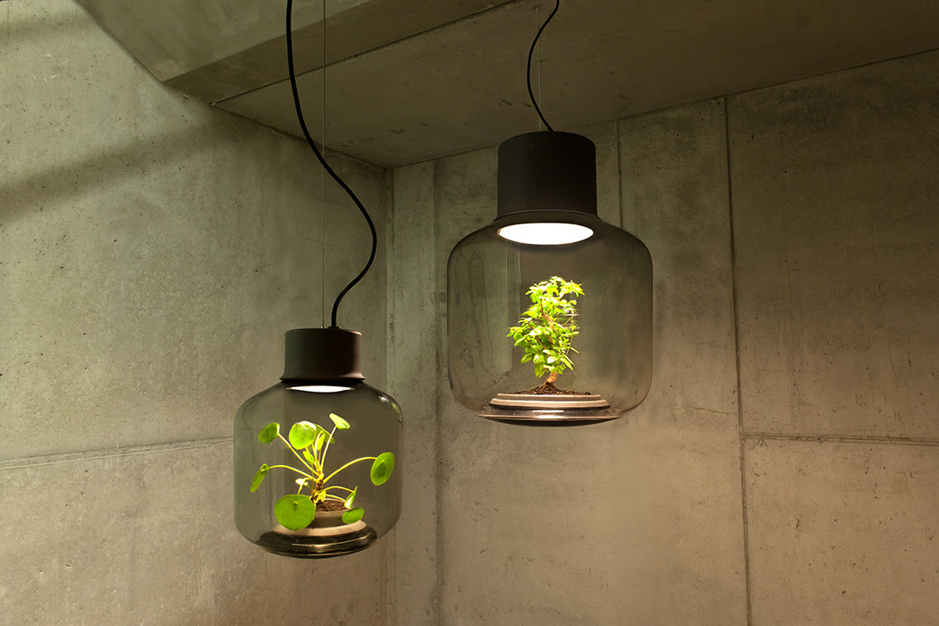 沒空間又沒時間也不是問題　絕妙設計「植物燈」不用照顧也能活