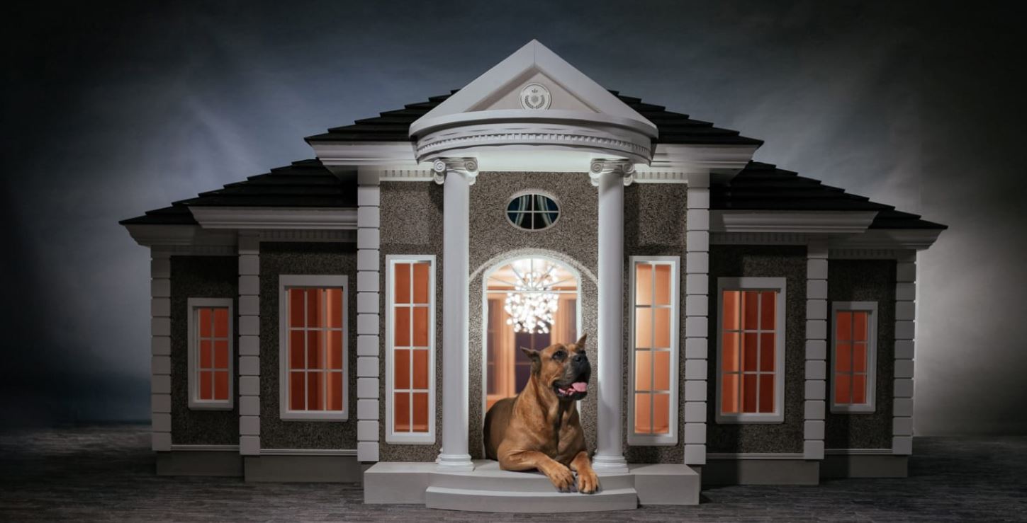 設計師打造「豪宅級狗屋」一棟價值超過600萬，配備電視跟高級音響的內裝比帝寶還狂！