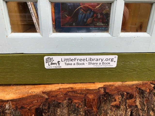 百年老樹要砍到！她精巧改造成「樹屋圖書館」　供鄰里借閱：賦予美好新生