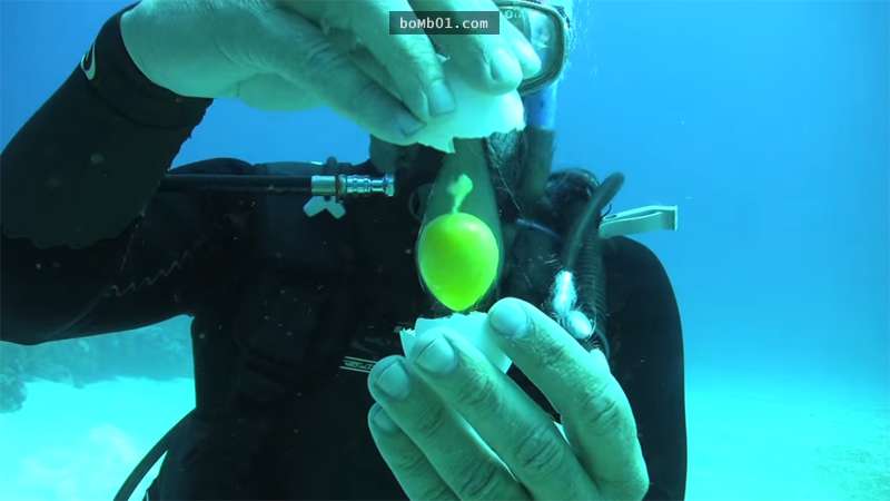 他不知道「在19公尺深的海水中打破雞蛋」會發生什麽事，結果蛋黃一飄出來…超驚奇！