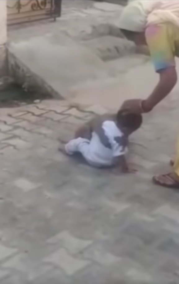 印度野猴強擄小男孩當玩伴　一臉不捨模樣「抱緊處理」拒絕放他走