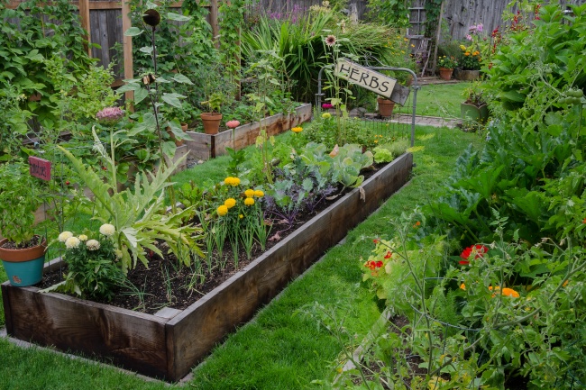 13個「讓你的家園秒變成園藝天堂」的原創DIY栽種點子！