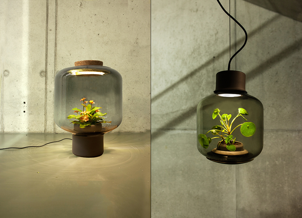 沒空間又沒時間也不是問題　絕妙設計「植物燈」不用照顧也能活
