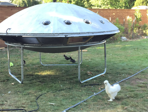 雞被外星人抓走了！　他建超可愛「UFO雞舍」　時間到「排隊搭機」太療癒：要回咕咕星球了？