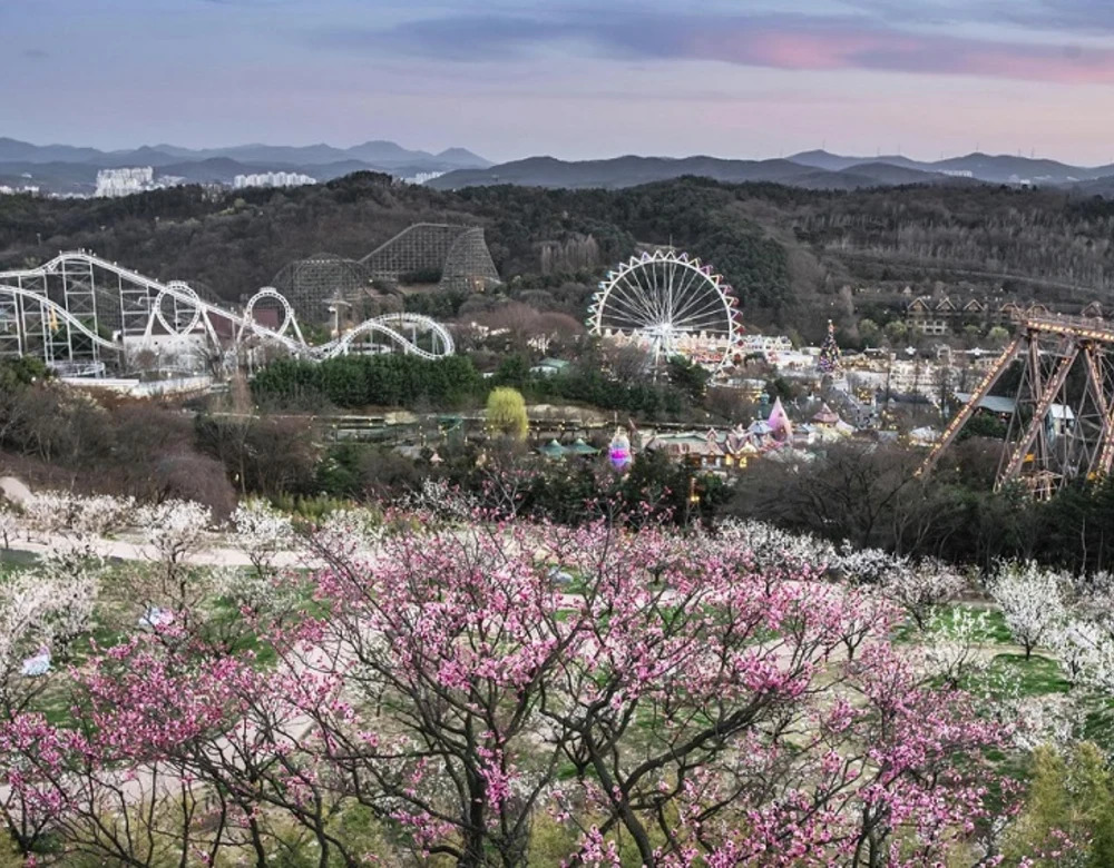 【韓國】豪想去韓國賞雪！　韓國自由行必去景點推薦　超人氣樂園、冬季限定體驗一次看
