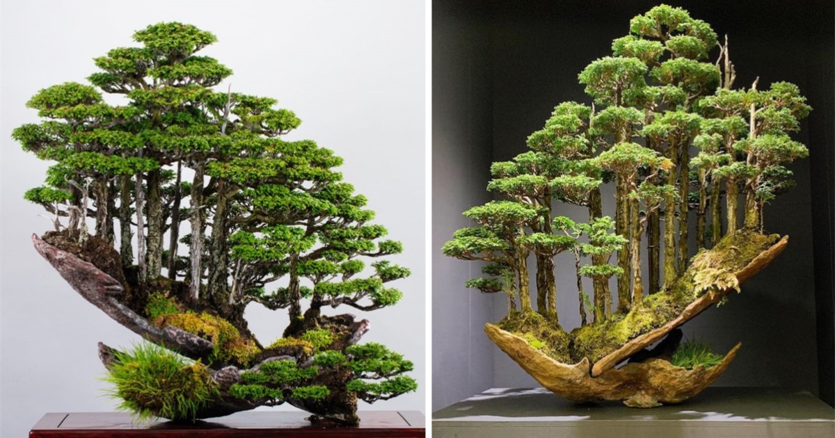 一棵盆栽「種入整片森林」　日本「盆景魔術師」作品紅遍全球：彷彿濃縮了整座山！