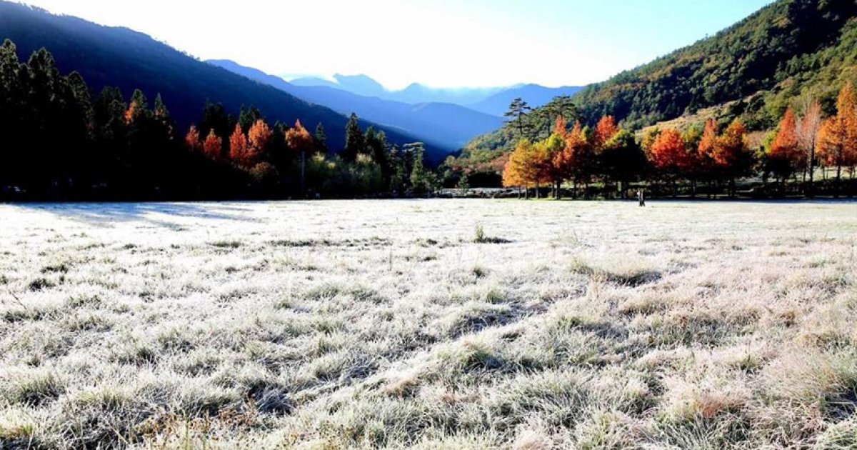 氣溫-2度！武陵農場大草原「披上夢幻白紗」　耶誕氣氛濃郁：這是北歐嗎？