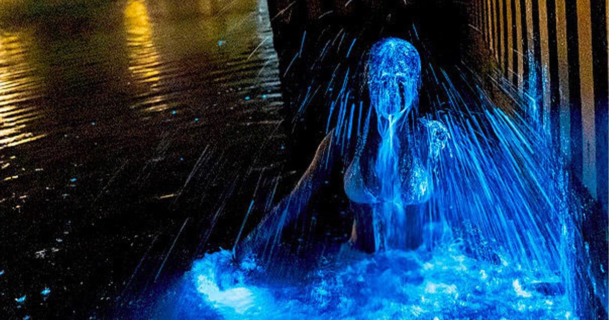 金門藍眼淚噴發！比基尼正妹為拍美照「極凍6度下水」　出水芙蓉畫面曝光
