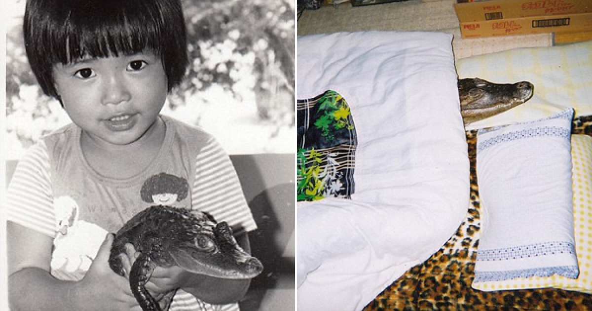日男從小買了這隻「鱷魚寶寶」後就跟牠黏緊緊，結果34年後…他從沒想到鱷魚會長到那麼大隻！