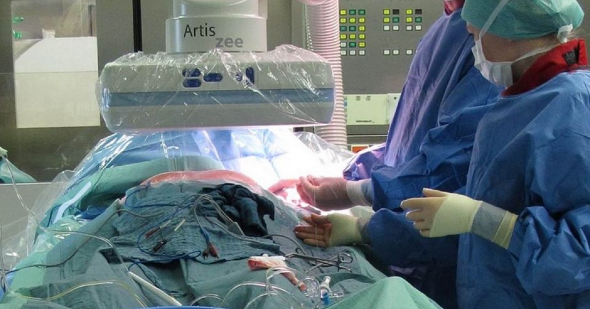 75歲肝癌老翁懇求醫生「病危時不要幫他急救」，家屬不簽同意書…醫生CPR「壓斷肋骨」含淚道歉。