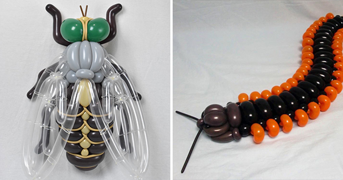 細節一點也不馬虎的「氣球藝術品」　酷斃了的蟲蟲造型挑戰著大家的感官