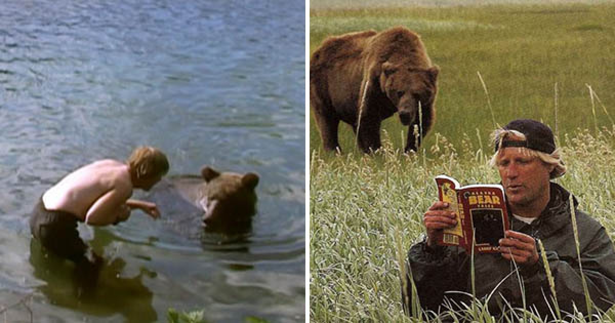 錄下死亡哀嚎！　花13年保育灰熊和牠們當朋友　他的下場卻是身體被啃剩一半