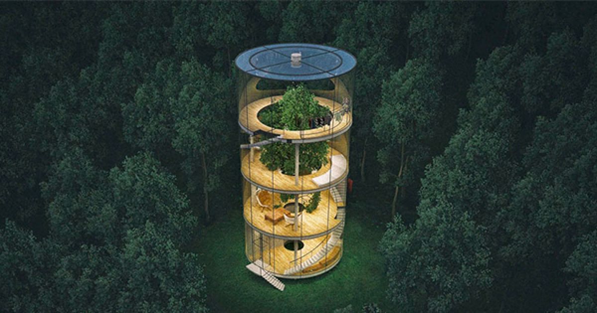 360度全方位「透明森林屋」一面世就轟動　玻璃牆藏「永續秘訣」設計超神