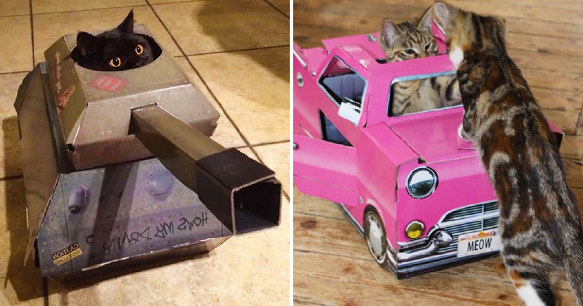 貓咪最愛的紙箱「升級成霸氣玩具」　逼真坦克、飛機讓貓奴都被燒到了