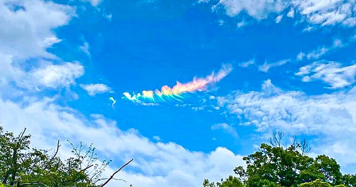 絕美火燒雲！東京天空驚現「七彩虹雲」　市民都出來搶拍：沒看過的奇景