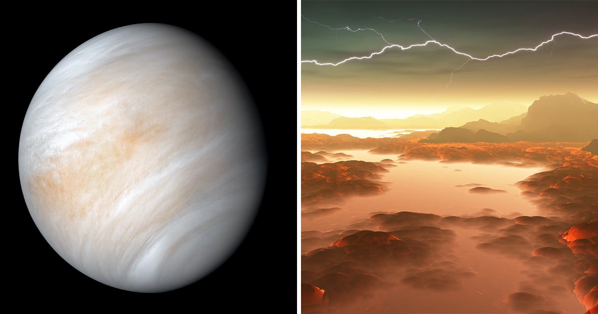 超重大發現！　科學家在金星找到「生命證據」：可能存在外星人！