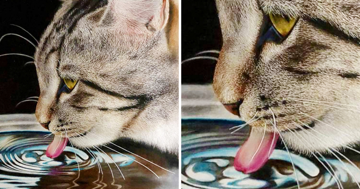 以為是真貓在喝水！　神人公開色鉛筆作畫過程：毛髮和水波紋都是我畫的