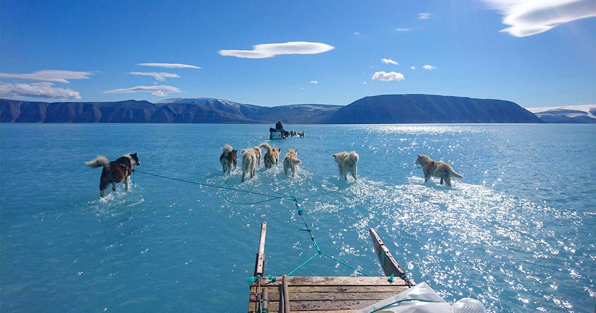 冰川不再是冰川！　專家PO格陵蘭「高溫融化照」：未來非常令人擔憂