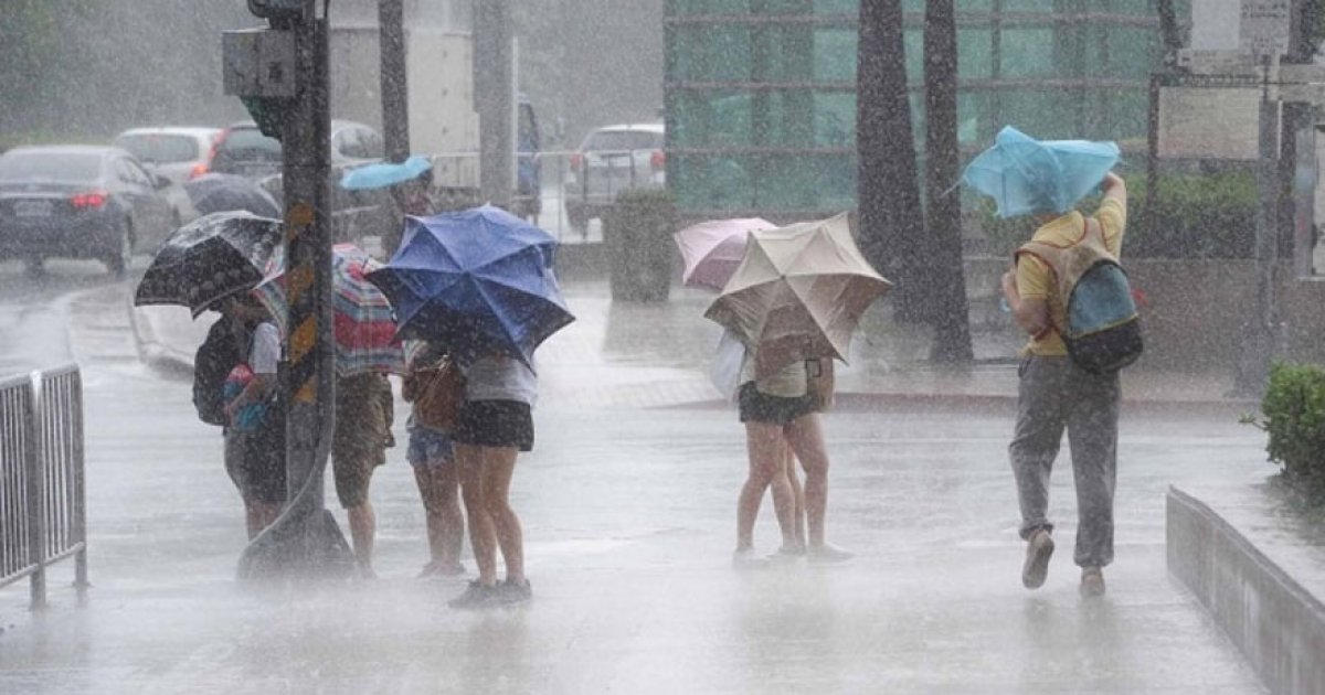 端午迎雨神！「小熊颱風」最快今成形　下週中南部全面降雨