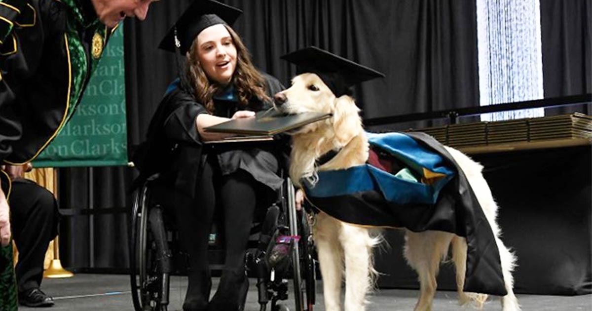 上課從不吵！服務犬守輪椅旁「陪讀4年」　主人也為牠爭取一份畢業證書